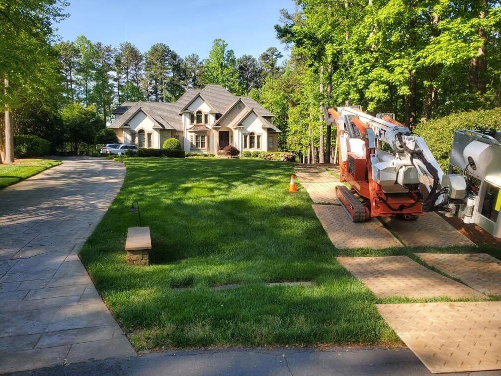 Tree Inspections