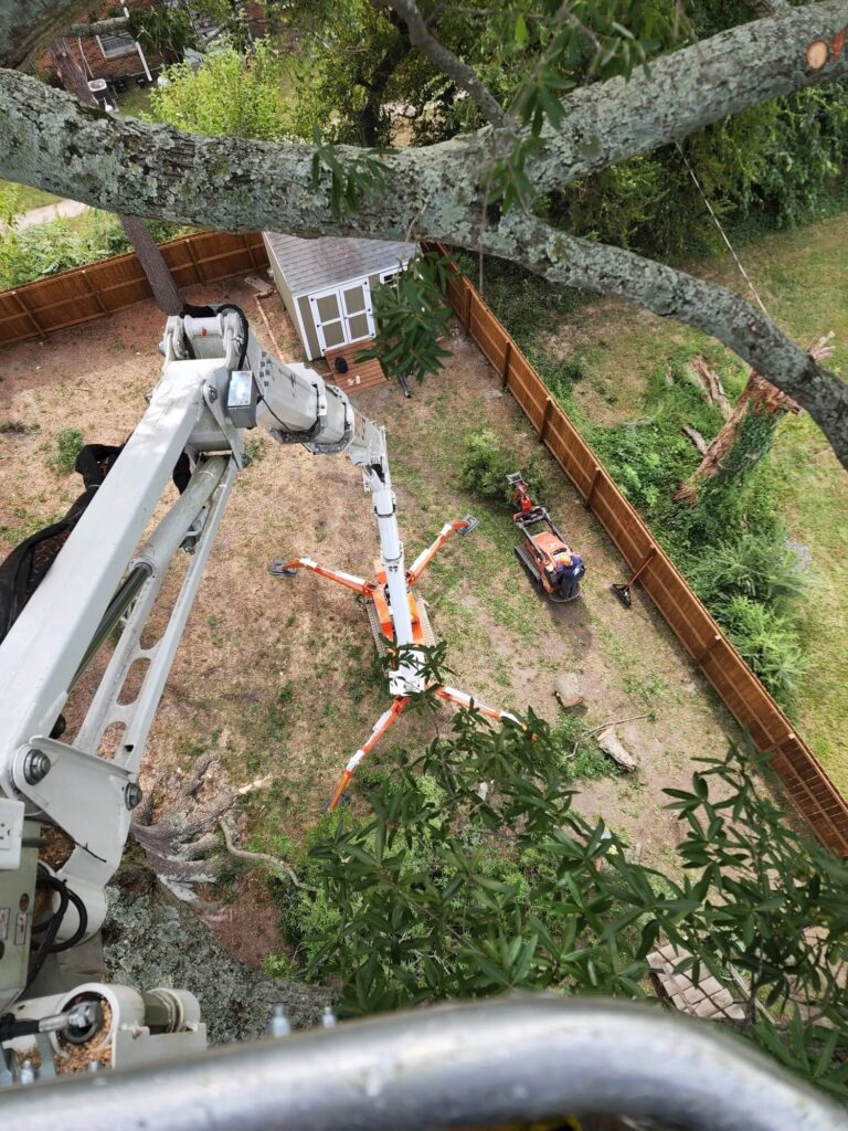 Brush Clearing
