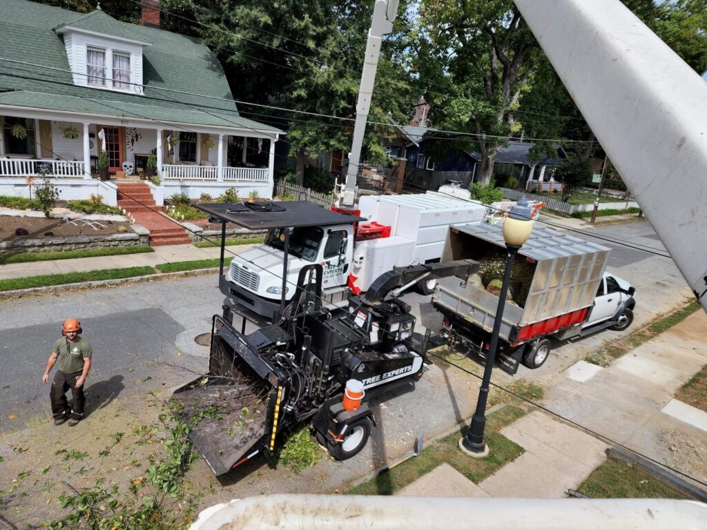 Crane Services