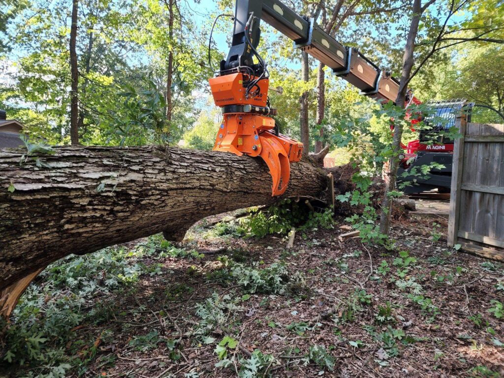 Tree Removal