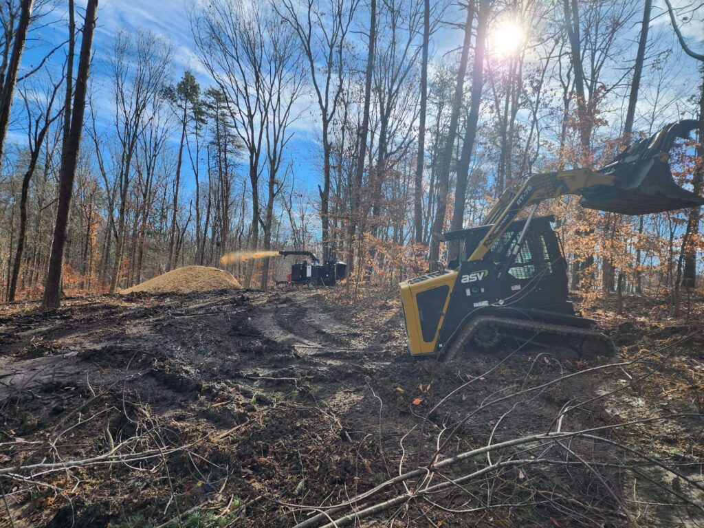 Lot Clearing