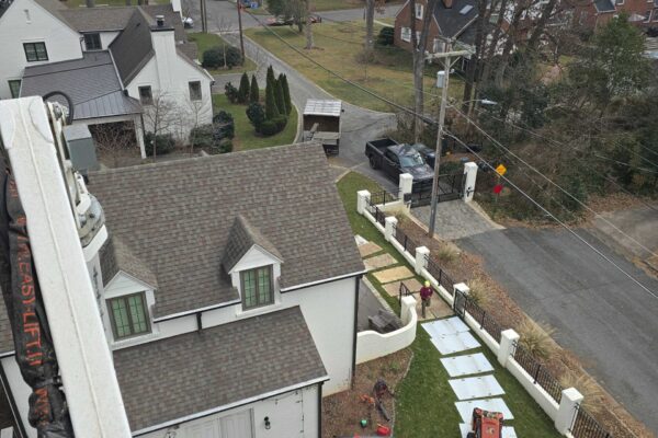 treeInspection-04