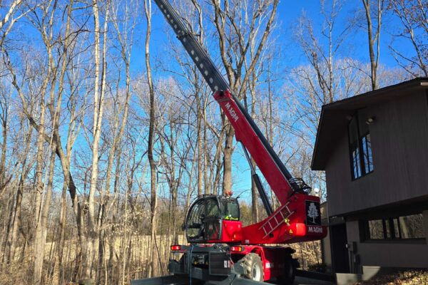 treeRemoval-19