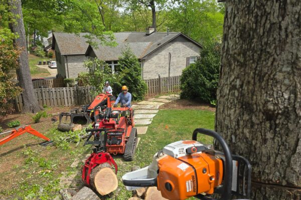 treeRemoval-20