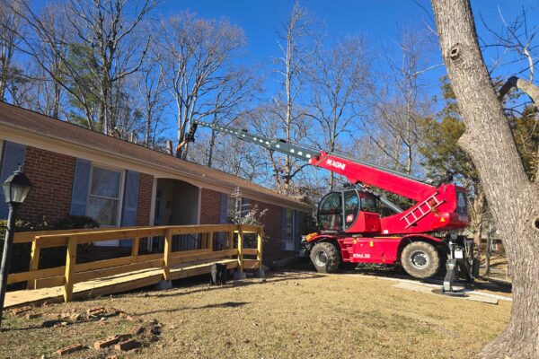 treeRemoval-22